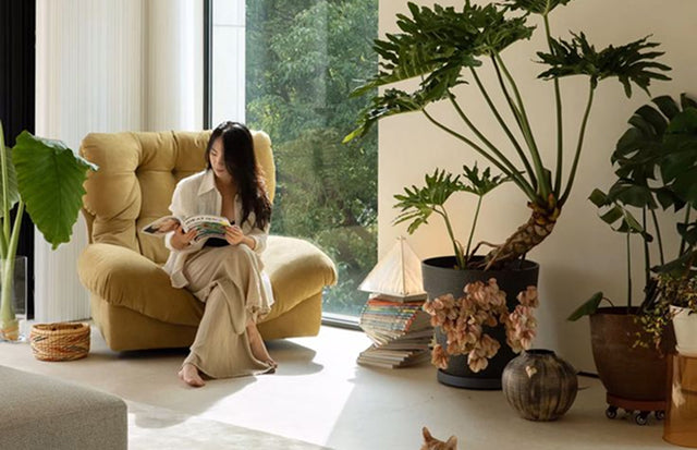 Over 2,000 Australian Homes Styled with Mordéa
