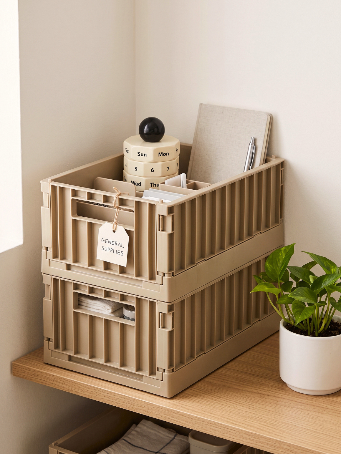 Seoul Foldable Cargo Bin